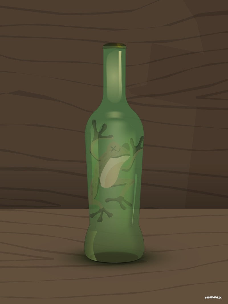 Affiche minimaliste verte et brune : une bouteille en verre vert posée sur une table en bois, un crapaud flotte à l'intérieur
